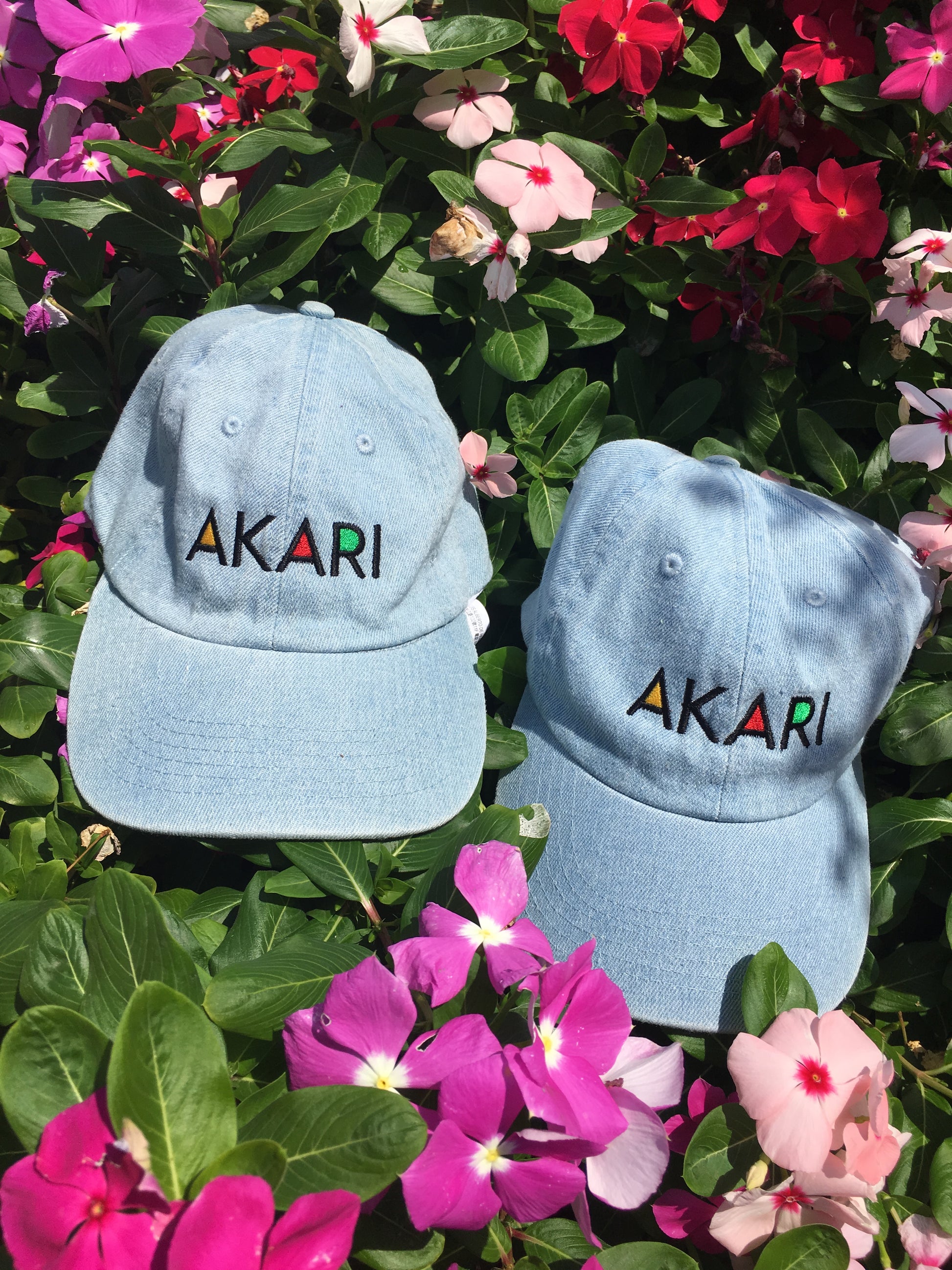 FLAVORS Dad Cap - House of Akari